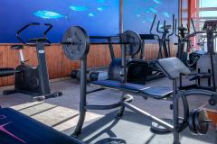 gimnasio